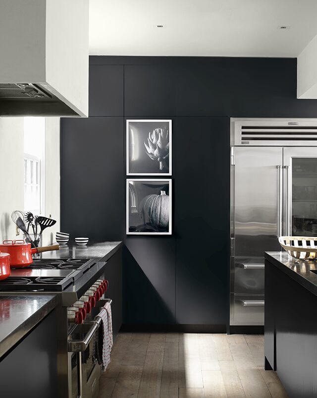 Kitchen in Benjamin Moore ADVANCE Satin paint in Black Tar