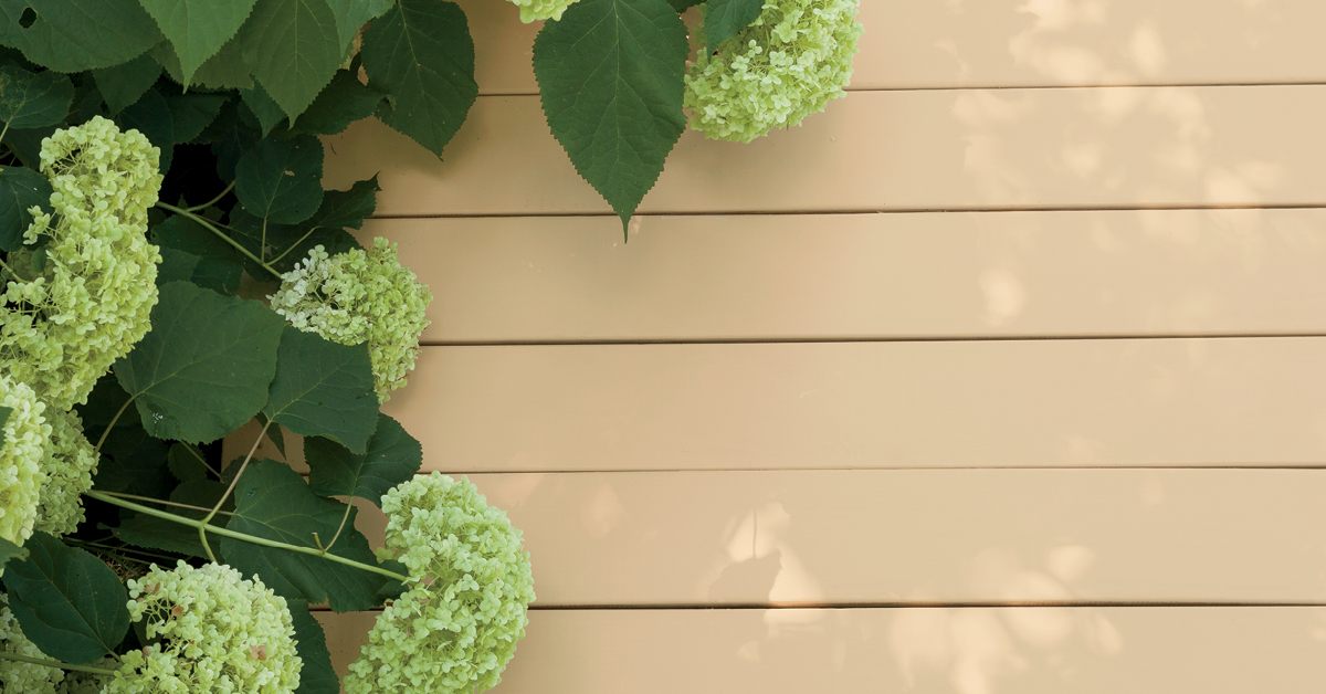 Pine Deck in Benjamin Moore Arborcoat Solid Exterior Stain, Richmond Bisque HC-177